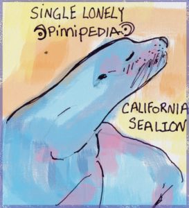 Lonely Sea Lion